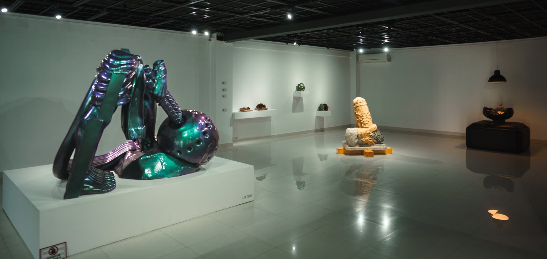 Installation at Kalakriti Art Gallery